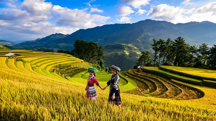 Nâng ngực nội soi ở Yên Bái